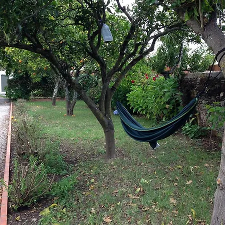 Patio Canelas Σπίτι διακοπών *