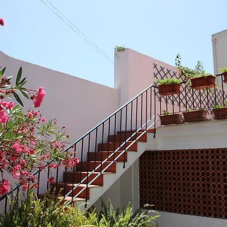 Patio Canelas Σπίτι διακοπών